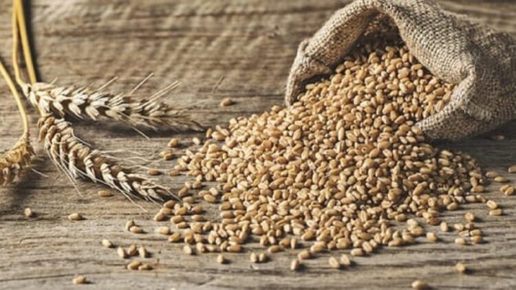 Pemkab Pasbar Klaim Stok Pangan Awal Tahun Aman, Segini Jumlahnya 1 ilustrasi pangan dunia. (dok. istimewa)