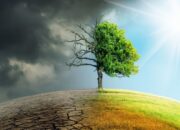 Perubahan Iklim Berdampak ke Negara Berpenghasilan Rendah