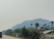 Dharmasraya Mulai Diselimuti Kabut Asap Kiriman