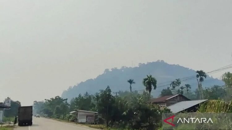 Puncak Gunung Medang di Jalan Lintas Sumatera Gunung Medan Kabupaten Dharmasraya, Sumbar, diselimuti kabut asap, Sabtu (30/9). Kabut asap menyelimuti daerah itu diduga asap kiriman dari Provinsi Jambi. (dok. Antara)