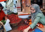 Harga Cabai Merah di Pariaman Naik, Kadisperindag: masih Stabil