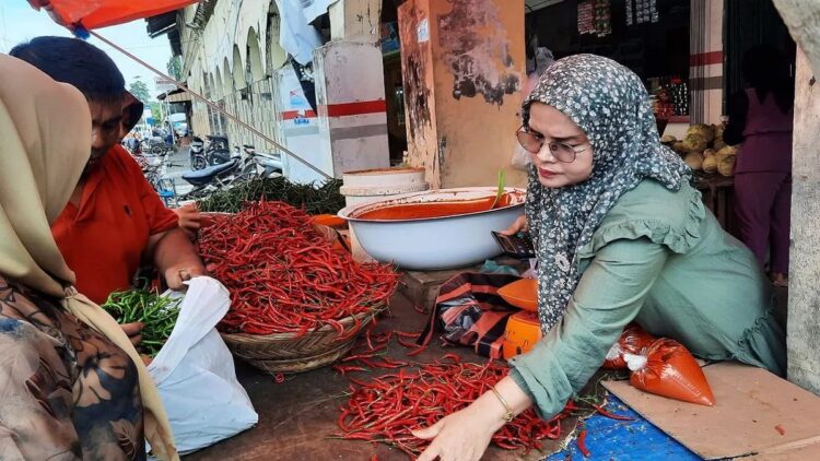 Harga Cabai Merah di Pariaman Naik, Kadisperindag: masih Stabil 1 Salah seorang pedagang kebutuhan pokok di Pasar Rakyat Pariaman, Sumbar merapikan tumpukan cabai sambil melayani pelanggan. ANTARA/Aadiaat M. S.