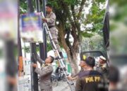 Dipasang di Pohon dan Tiang Listrik, Ratusan Reklame Dibongkar Petugas di Padang