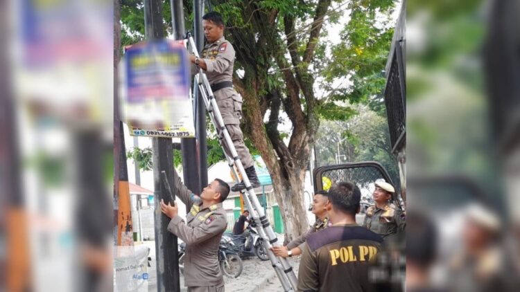 Dipasang di Pohon dan Tiang Listrik, Ratusan Reklame Dibongkar Petugas di Padang 1 Satpol PP Padang membongkar papan reklame yang dipasang di tiang listrik. (Foto: Dok. Satpol PP Padang)