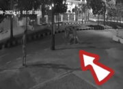 Aksi Perusakan Pot Bunga Terekam CCTV, Pemko Padang Kini “Buru” Pelaku