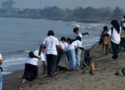 Ikuti BUMN Environmental Movement, Milenial Semen Padang Bersihkan Pantai Padang