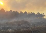 BMKG Sebut Sebanyak 12 Titik Panas Terpantau di Jambi