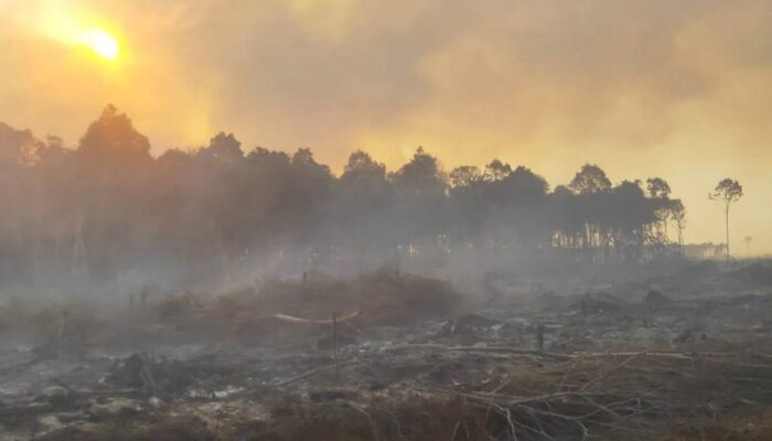 BMKG Sebut Sebanyak 12 Titik Panas Terpantau di Jambi