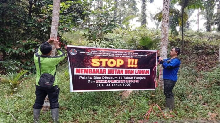 Petugas Resort Konservasi Wilayah II Maninjau Balai Konservasi Sumber Daya Alam (BKSDA) Sumatera Barat memasang spanduk di hutan penyangah, Selasa (17/10). Dok Antara/Yusrizal