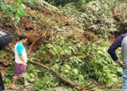 Longsor Landa Talu Pasbar, Akses Lalulintas ke Pasaman Putus Total