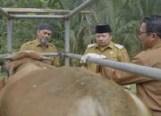 Optimalisasi Vaksinasi PMK, Pemkab Agam Gelar Gebyar Peternakan-Kesehatan Hewan