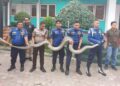 Ngeri! Piton Sepanjang 5 Meter Muncul dari Gudang PLN di Padang 3 Ngeri! Piton Sepanjang 5 Meter Muncul dari Gudang PLN di Padang