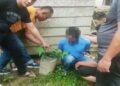 Tanam Ganja di Polibag, Pria di Pasaman Barat Diciduk Polisi