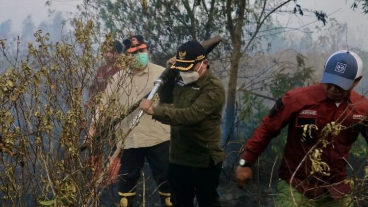 Wakil Menteri Lingkungan Hidup dan Kehutanan (LHK) Alue Dohong (kedua kanan) dan tim satgas melakukan pendinginan area kebakaran hutan dan lahan (karhutla) menjelang malam hari, di Hutan Lindung Kabupaten Banjar, Kalimantan Selatan, Minggu (1/10/2023). (ANTARA/Tumpal Andani Aritonang)