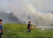 Lahan Dekat Permukiman Warga Agam Terbakar, Satpol PP Damkar Lakukan Pemadaman