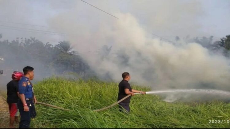 Lahan Dekat Permukiman Warga Agam Terbakar, Satpol PP Damkar Lakukan Pemadaman 1 Satpol PP Damkar Agam berhasil padamkan api bakar lahan dekat pemukiman warga. (Foto: Dok. Satpol PP Damkar Agam)