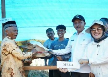 InShot 20231025 173028666