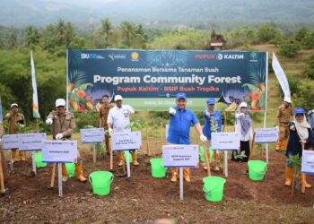 Community forest Pupuk Kaltim dan BPSI. (dok. istimewa)