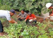 Semen Padang Canangkan Gerakan SERO, Indrieffouny: Untuk Jaga Kebersihan Lingkungan