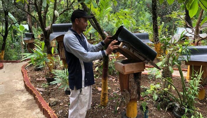 Lewat Program Rumah BUMN, Madu Galo-Galo Cupiang Go Global