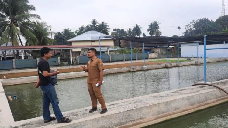 Kepala BBI Kota Pariaman, Sumbar Bahagia Fitri (kanan) berdialog dengan salah seorang wartawan saat berada di tepi kolam BBI setempat. ANTARA/Aadiaat M. S.