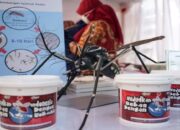 Kemenkes: Penggunaan Wolbachia Aman untuk Jangka Panjang