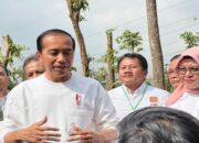 Dikritik Megawati seperti Orde Baru, Begini Respons Jokowi