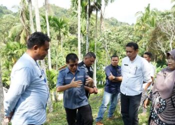 Permudah Jaringan Internet, Pemkab Solok Upayakan Pembangunan Tower di Bukit Bais
