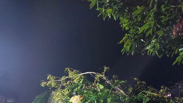 Personel BPBD Padang menangani pohon tumbang yang menimpa rumah warga di Jalan Hidayah Parak Buruak, RT 001, RW 005, Kelurahan Batipuh Panjang, Koto Tangah, Padang pada Sabtu (4/11/2023) malam. ANTARA/HOBPBDPadang