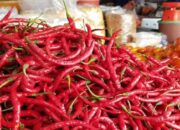 Pasokan Terbatas, Harga Cabai Merah di Pasbar Capai Rp70 Ribu Sekilo
