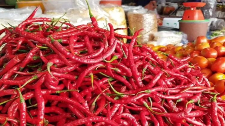 Cabe merah di Pasar Simpang Empat, Kabupaten Pasaman Barat mengalami kenaikan dari Rp35 ribu menjadi Rp70 ribu per kilogram. Antara/Altas Maulana.