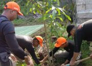 Aksi Tanam Pohon FKBPPPN Padang, Upaya Menanam Kebaikan