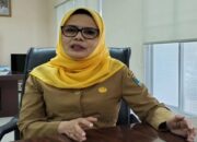 Pemprov Sumbar Tetapkan Tiga Daerah Ini Tempat Budidaya Lobster Mutiara-Pasir