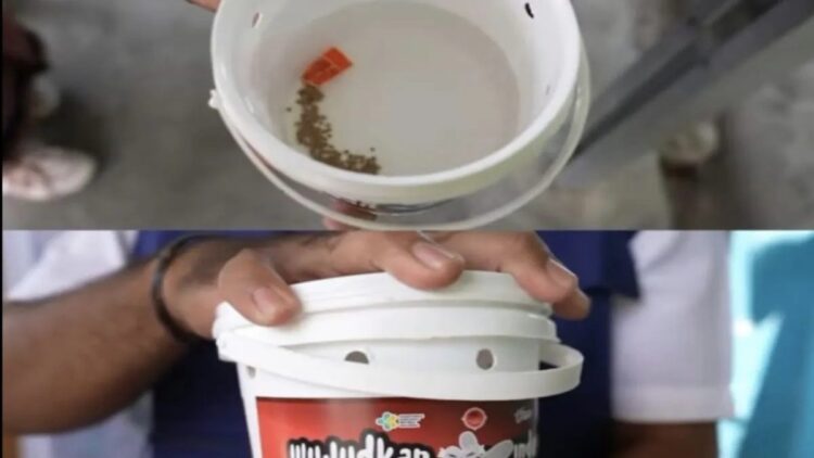 Teknologi Wolbachia. (ANTARA/HO-Kemenkes)