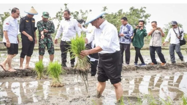 Menteri Pertanian (Mentan) Andi Amran Sulaiman saat melakukan Panen dan Tanam Padi di Desa Ngadipuro dan Desa Ngadirejo, Kecamatan Widang, Kabupaten Tuban, jawa Timur, Kamis (23/11/2023). (ANTARA/Rizal Hanafi)