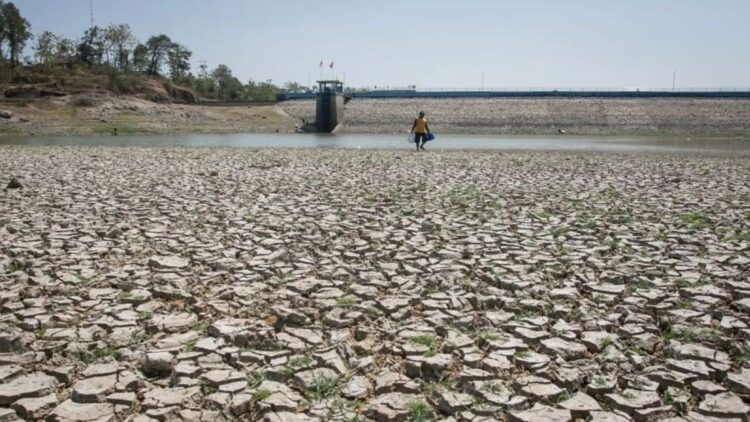 Dampak Perubahan Iklim, Suhu Udara Permukaan di Indonesia Naik 1,3 Derajat Celcius 1 Warga mencari ikan di Waduk Tandon yang mengalami penyusutan debit air di Selogiri, Wonogiri, Jawa Tengah, Selasa (8/8/2023). ANTARA FOTO/Mohammad Ayudha/hp. (ANTARA FOTO/MOHAMMAD AYUDHA)