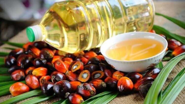 ilustrasi minyak kelapa sawit. (dok. istimewa)