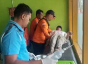 Pekerja Asal Pasaman Barat yang Tersesat di Kebun Sawit Ditemukan