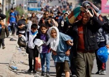 WHO Serukan Gencatan Senjata Israel-Palestina