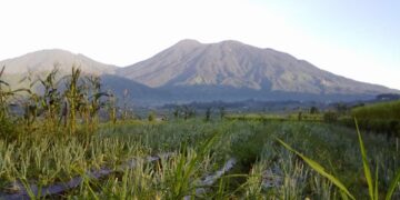 Gunung Tandikat Dikabarkan Erupsi, Ini Penjelasan PVMBG 8 Gunung Tandikat. (dok. istimewa)