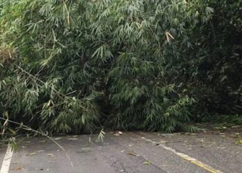 Goro Bersihkan Saluran Irigasi, Dua Warga Agam Tewas Tertimbun Longsor