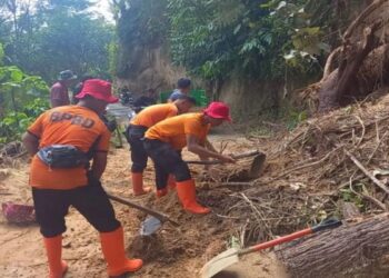 Jalan Penghubung Baso-Batusangkar Tertimbun Longsor 18 Jalan Penghubung Baso-Batusangkar Tertimbun Longsor