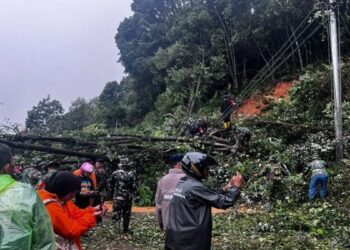 Sempat Putus Total, Jalan Lintas Sumbar-Riau Kini Bisa Dilalui
