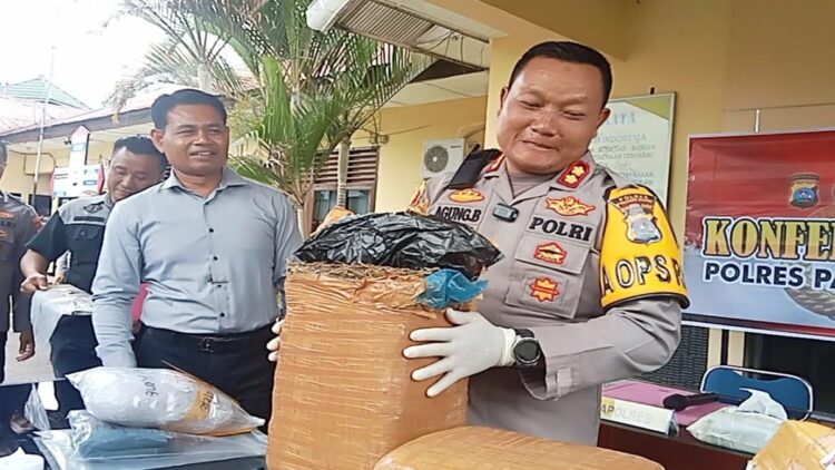 54 Perkara Narkotika Berhasil Diungkap, Polres Pasbar Amankan 25 Kg Ganja 1 Kepala Polres Pasaman Barat AKBP Agung Basuki saat memperlihatkan barang bukti ganja yang diamankan beberapa waktu lalu. Selama 11 bulan ini pihaknya mengungkap 54 perkara narkotika dengan 66 tersangka. Antara/Altas Maulana.