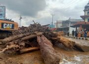 Banyak Kayu Gelondongan Terbawa Arus Sungai, Warga Panapa Pasaman Cemas Banjir Susulan