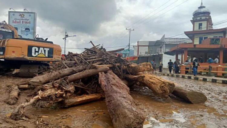 Banyak Kayu Gelondongan Terbawa Arus Sungai, Warga Panapa Pasaman Cemas Banjir Susulan 1 Tumpukan kayu menutupi kolong Jembatan Panapa Lubuk Sikaping, Kabupaten Pasaman, Sumatera Barat mengakibatkan air meluap dan merendam rumah warga. ANTARA/Altas Maulana.