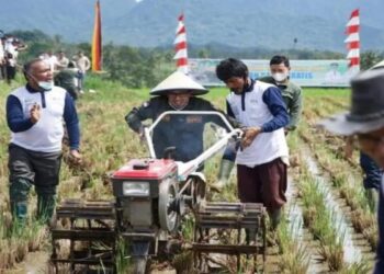 4.308 Hektare Sawah di Tanahdatar Manfaatkan Layanan Bajak Gratis