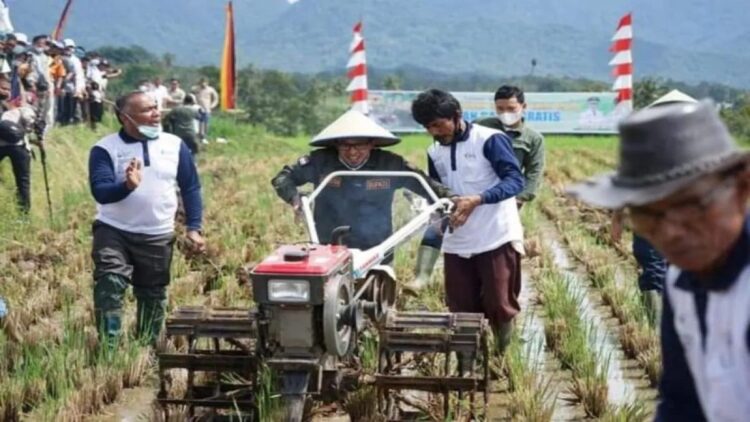 Layanan bajak sawah gratis di Kabupaten Tanahdatar (ANTARA/HO)