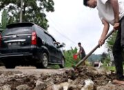 Membahayakan Pengguna Jalan, Warga Inisiatif Timbun Jalan Berlubang di Tanahdatar