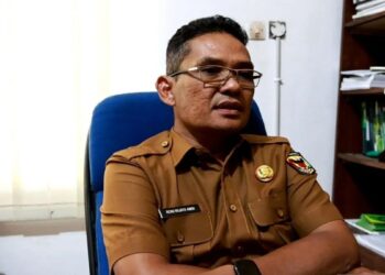 Pemkab Tanahdatar Targetkan Produksi Padi 306 Ribu Ton Tercapai Tahun Ini